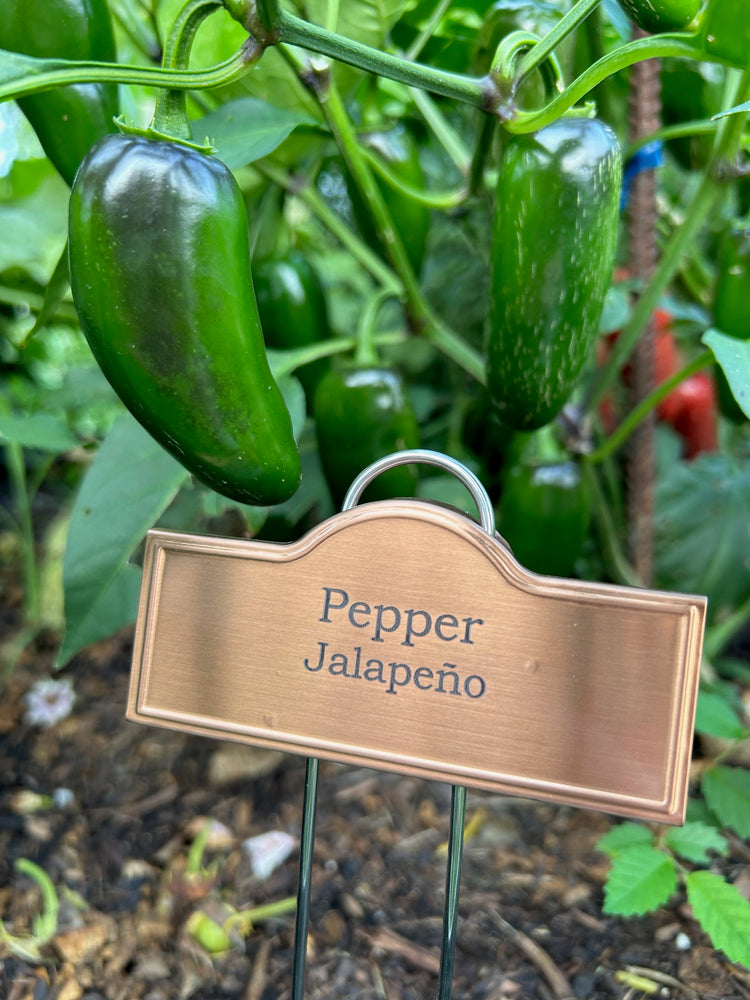 Engraved Plant Labels - Herbs, Veggies, and Fruits