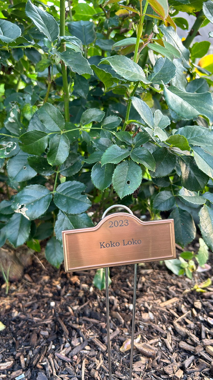 Engraved Plant Labels - Roses